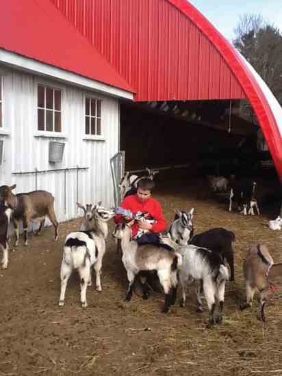 Children gain lifelong skills and attitudes from working on a homestead?—?and baby goats are way more fun than video games.